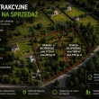 zdjęcie nr 
