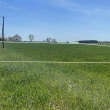zdjęcie nr 