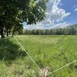 zdjęcie nr 