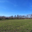zdjęcie nr 