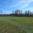 zdjęcie nr 