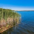 zdjęcie nr 