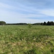zdjęcie nr 