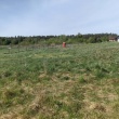 zdjęcie nr 