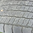 zdjęcie nr 