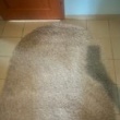 zdjęcie nr 