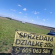 zdjęcie nr 