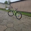 zdjęcie nr 