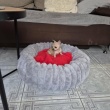zdjęcie nr 