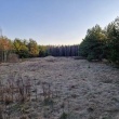 zdjęcie nr 