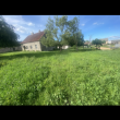 zdjęcie nr 