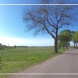 zdjęcie nr 