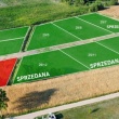 zdjęcie nr 