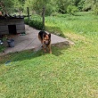 zdjęcie nr 