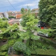 zdjęcie nr 