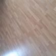 zdjęcie nr 