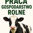 zdjęcie nr 