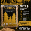 zdjęcie nr 