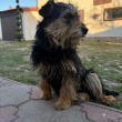zdjęcie nr 
